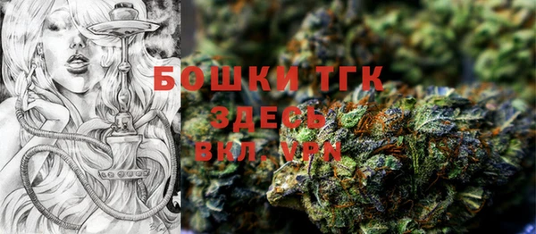 стаф Абаза