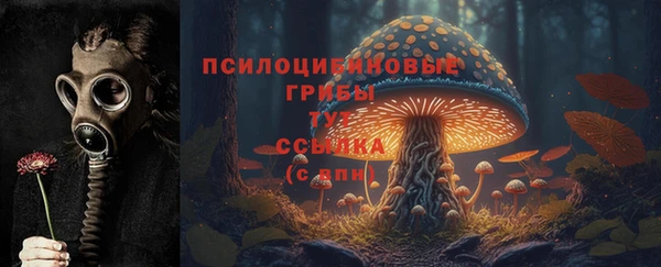 спайс Абинск